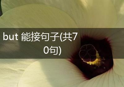 but 能接句子(共70句)