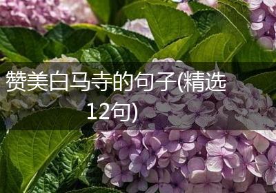 赞美白马寺的句子(精选12句)