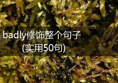 badly修饰整个句子(实用50句)