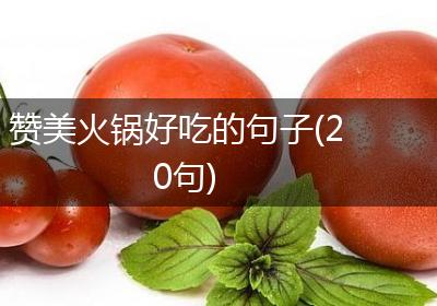 赞美火锅好吃的句子(20句)