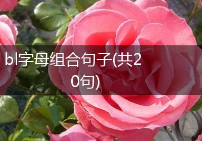 bl字母组合句子(共20句)