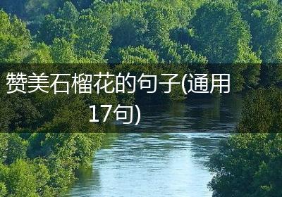 赞美石榴花的句子(通用17句)