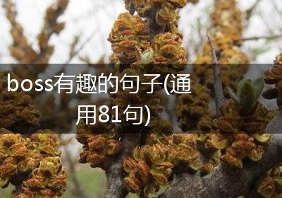 boss有趣的句子(通用81句)