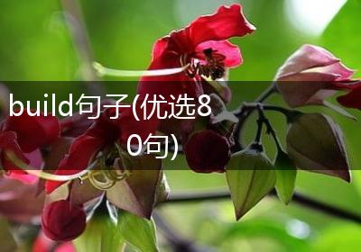 build句子(优选80句)
