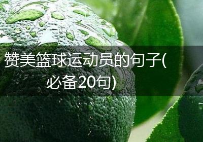 赞美篮球运动员的句子(必备20句)