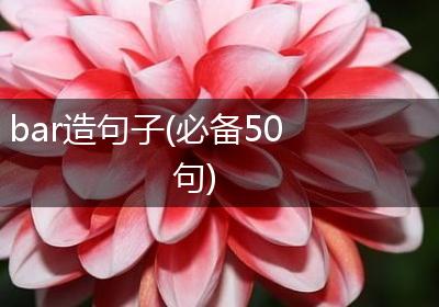 bar造句子(必备50句)