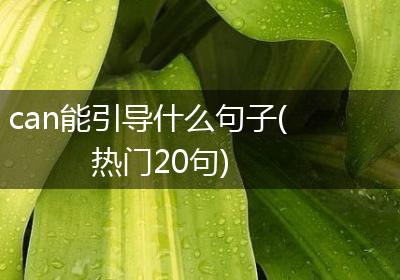 can能引导什么句子(热门20句)