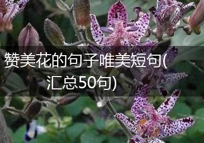 赞美花的句子唯美短句(汇总50句)