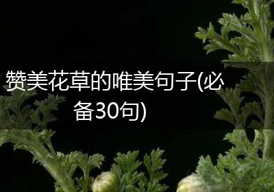赞美花草的唯美句子(必备30句)