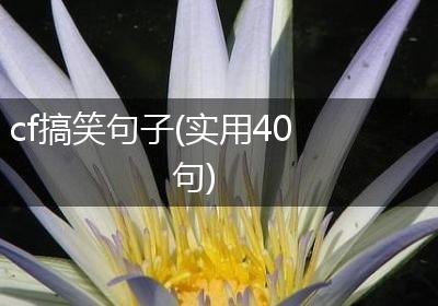 cf搞笑句子(实用40句)