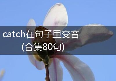 catch在句子里变音(合集80句)
