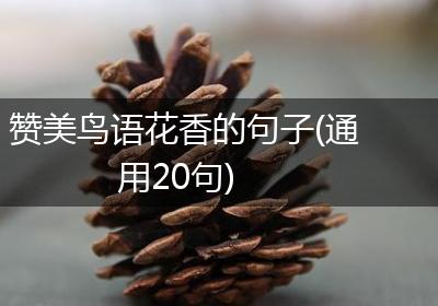 赞美鸟语花香的句子(通用20句)