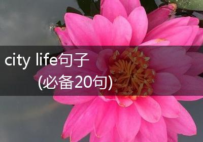 city life句子(必备20句)