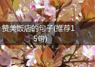 赞美饭店的句子(推荐15句)