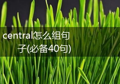 central怎么组句子(必备40句)