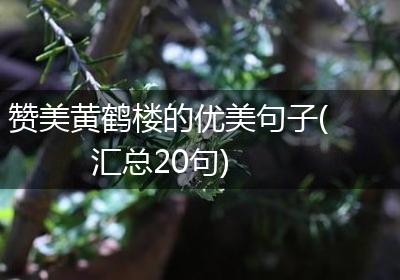 赞美黄鹤楼的优美句子(汇总20句)