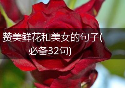 赞美鲜花和美女的句子(必备32句)