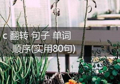c 翻转 句子 单词 顺序(实用80句)
