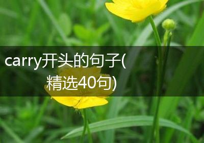 carry开头的句子(精选40句)