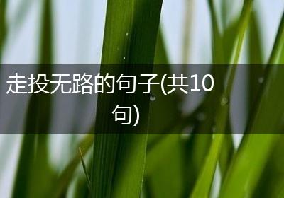 走投无路的句子(共10句)