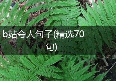 b站夸人句子(精选70句)