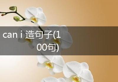 can i 造句子(100句)