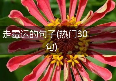 走霉运的句子(热门30句)