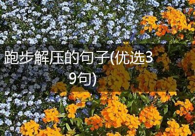 跑步解压的句子(优选39句)