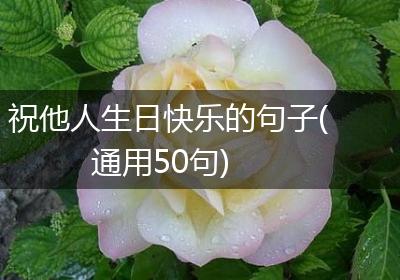 祝他人生日快乐的句子(通用50句)