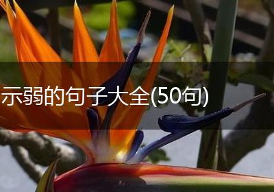 示弱的句子大全(50句)