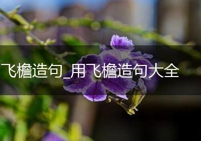 飞檐造句_用飞檐造句大全