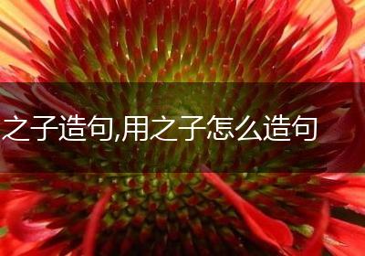 之子造句,用之子怎么造句