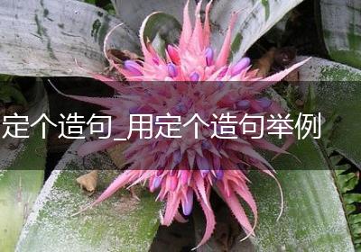 定个造句_用定个造句举例