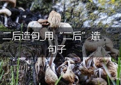 二后造句_用“二后”造句子