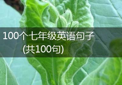 100个七年级英语句子(共100句)