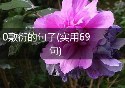 0敷衍的句子(实用69句)