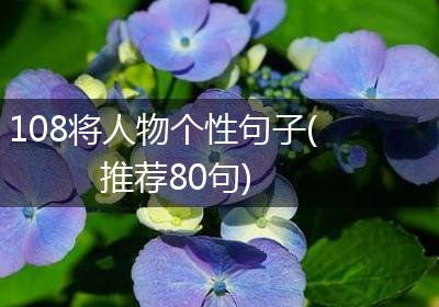 108将人物个性句子(推荐80句)