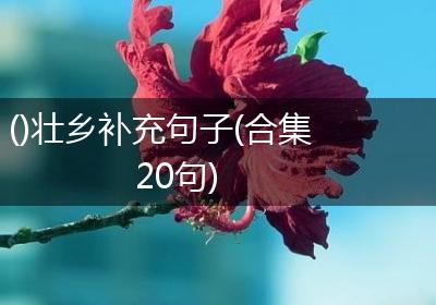 ()壮乡补充句子(合集20句)