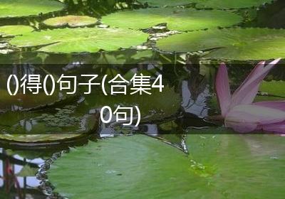 ()得()句子(合集40句)