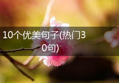 10个优美句子(热门30句)