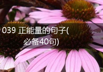 039 正能量的句子(必备40句)