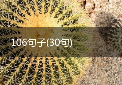 106句子(30句)