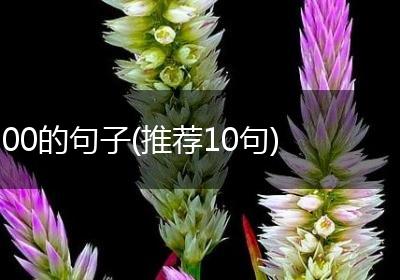 00的句子(推荐10句)