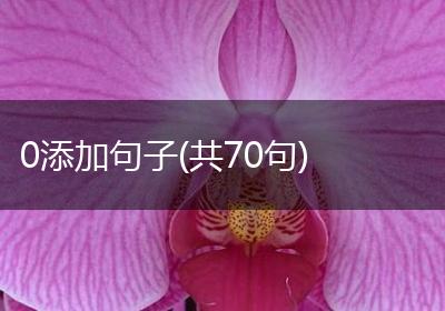 0添加句子(共70句)