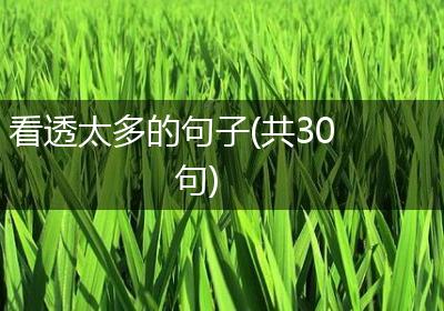 看透太多的句子(共30句)
