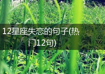 12星座失恋的句子(热门12句)