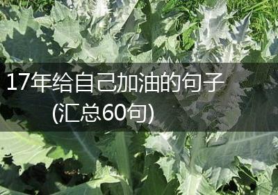 17年给自己加油的句子(汇总60句)