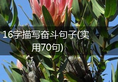 16字描写奋斗句子(实用70句)