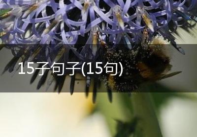 15子句子(15句)