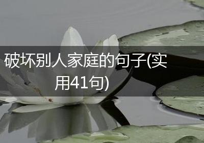 破坏别人家庭的句子(实用41句)